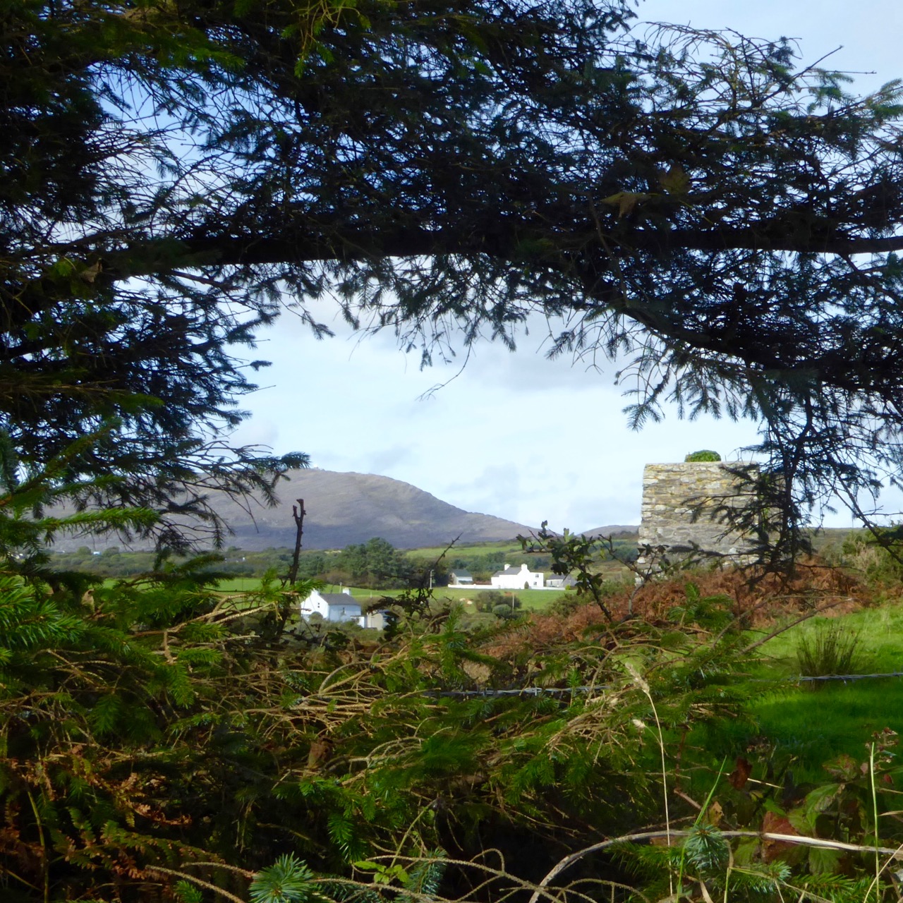 Ballycummisk Coppermine and Gabrial