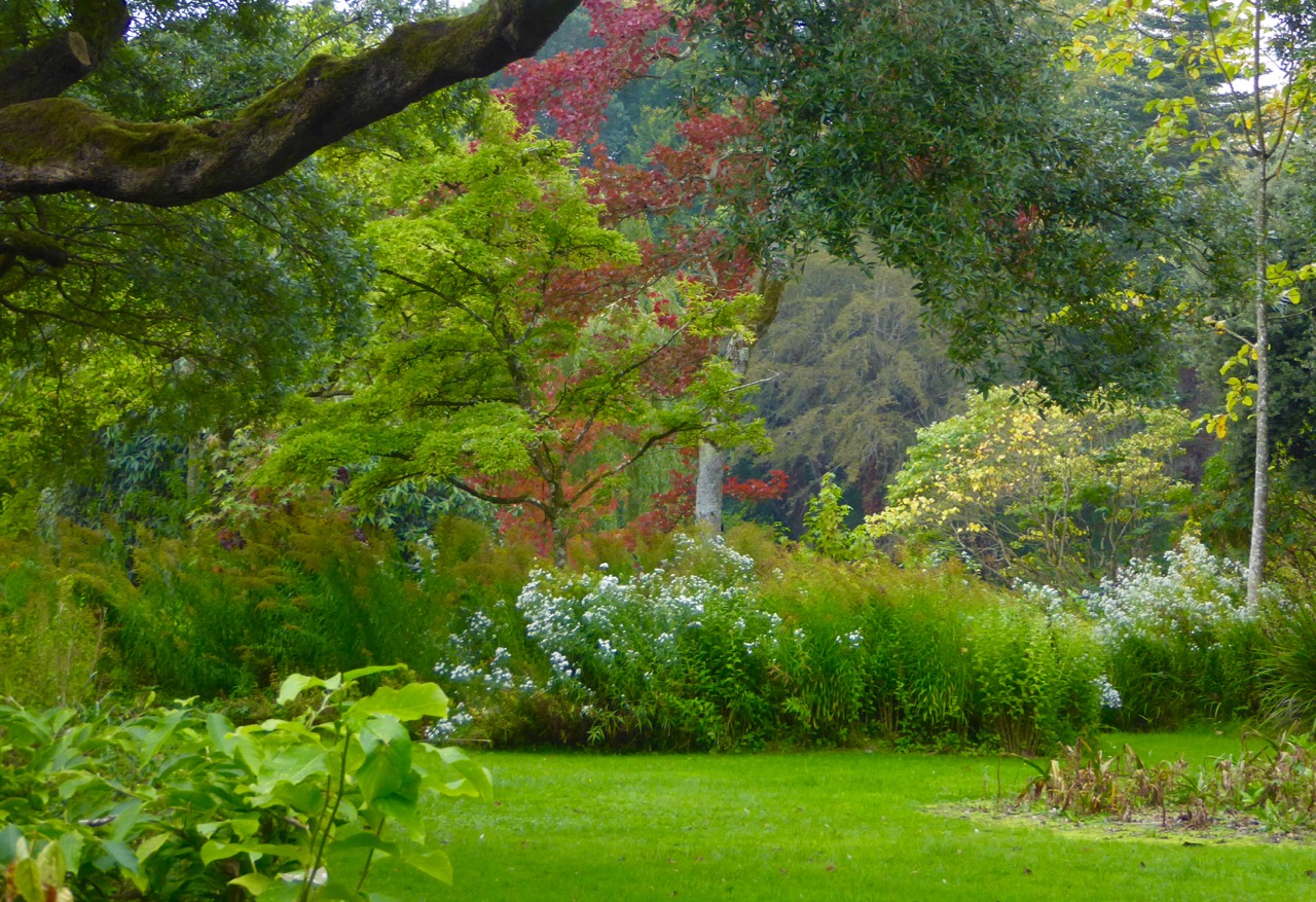 Birr Castle Gardens 2