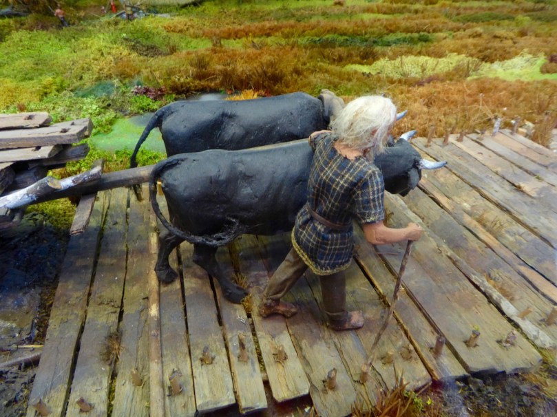 Guiding the oxen