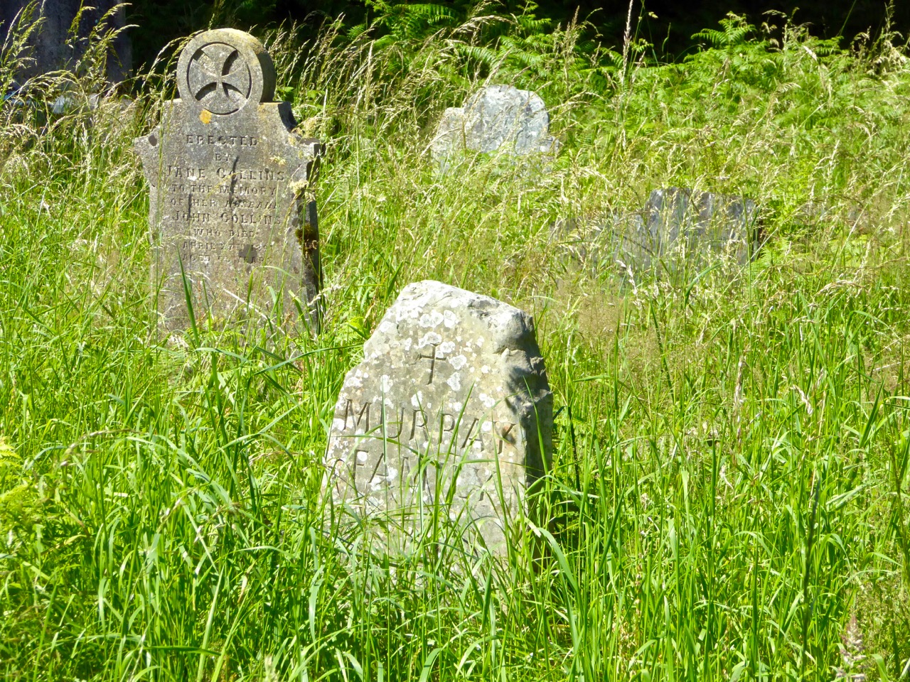 Old graveyard, near Dunmanway