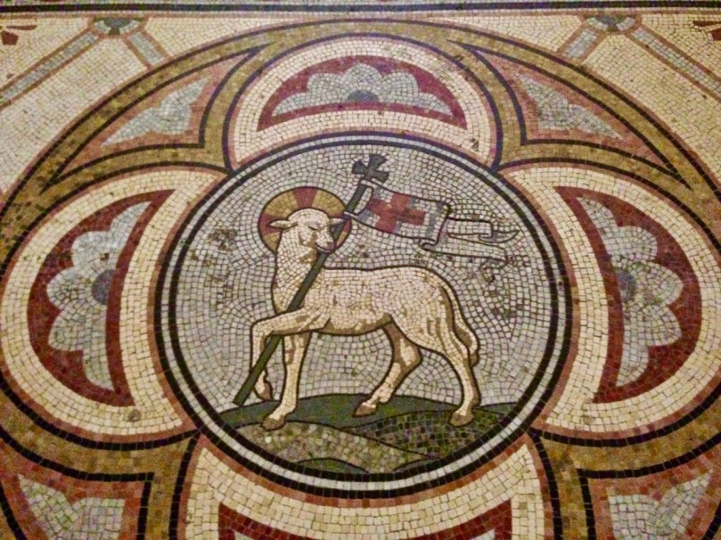 lamb with pennant kilkenny