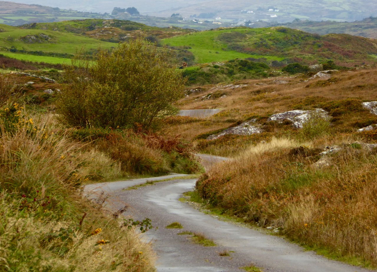 Road through Cappaghglass