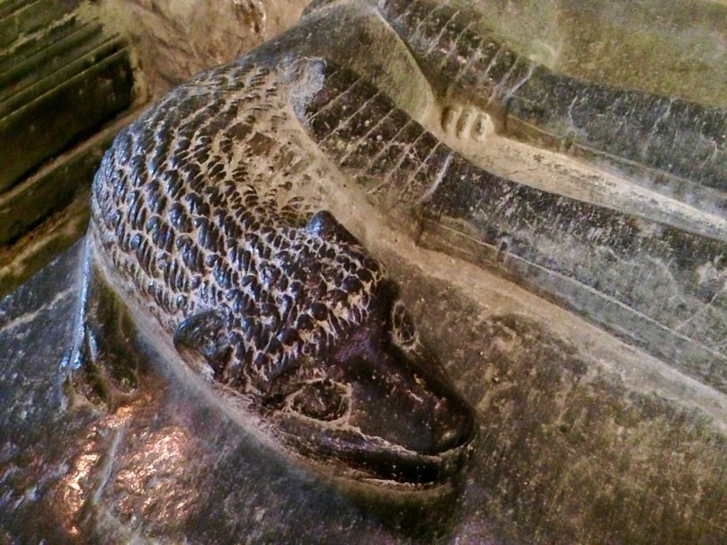 tiger at feet st canice