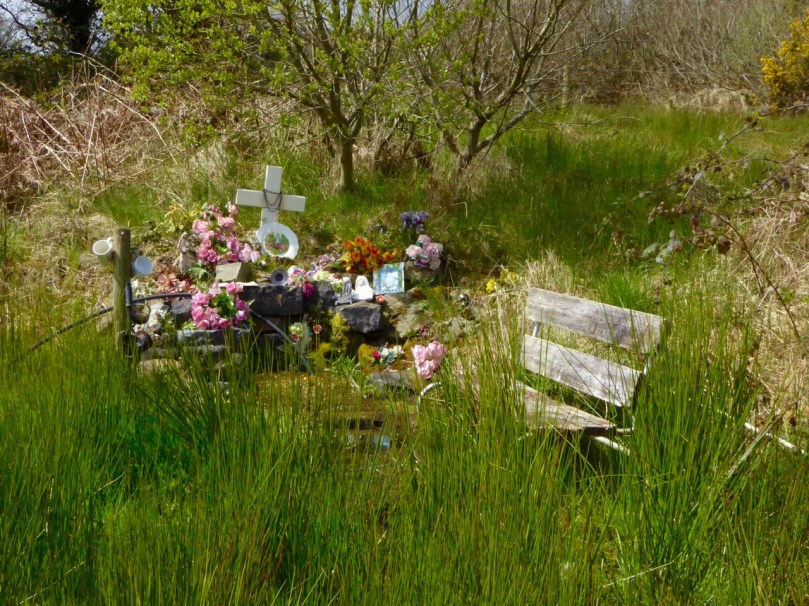 Trinity Well in Fulacht Fiadh