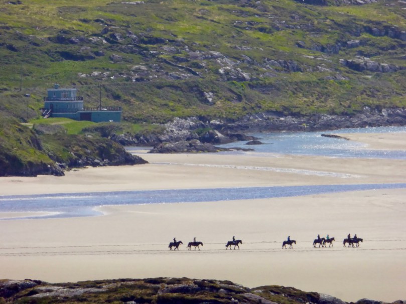 Horses at Caherdaniel