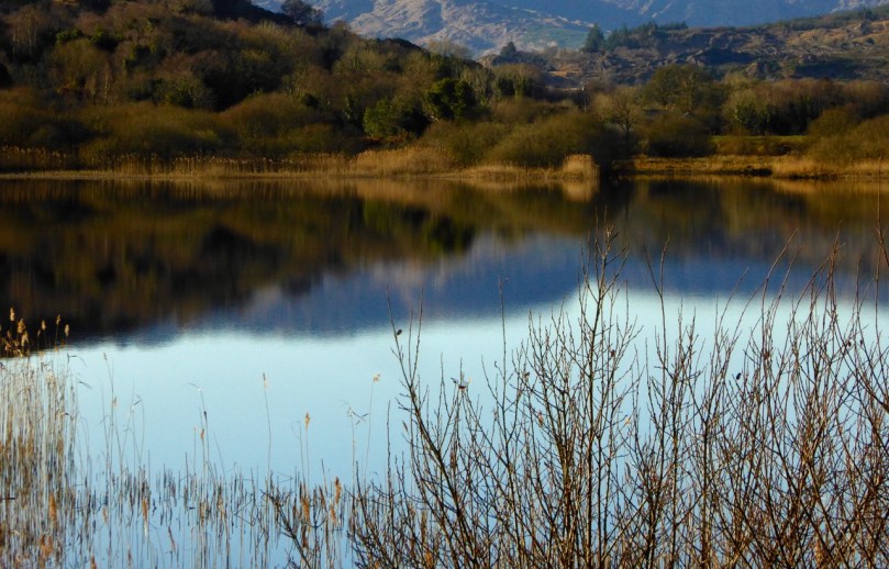 River Lee near Ballingeary 2