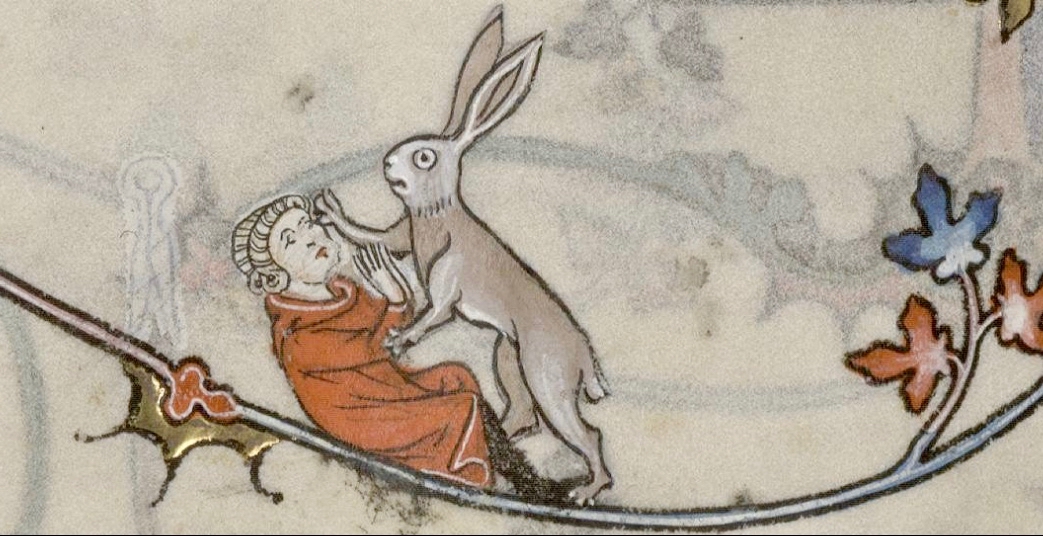 amorous hare