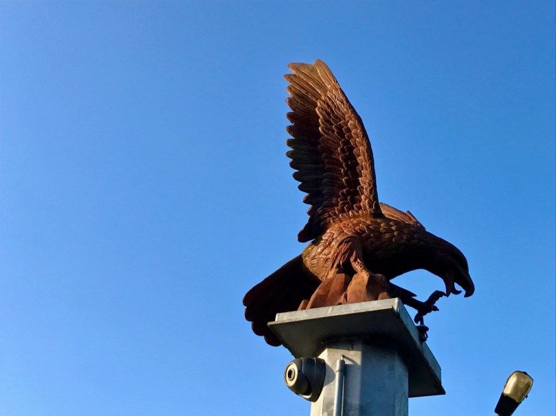 eagle on post 2