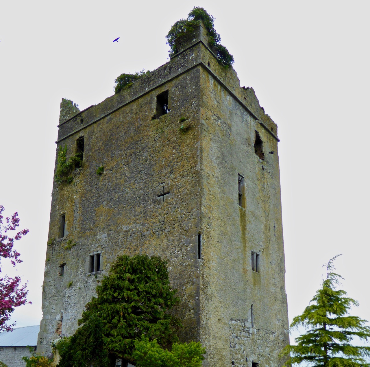 Glashare Tower House