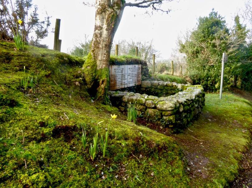 Macaura's Grave