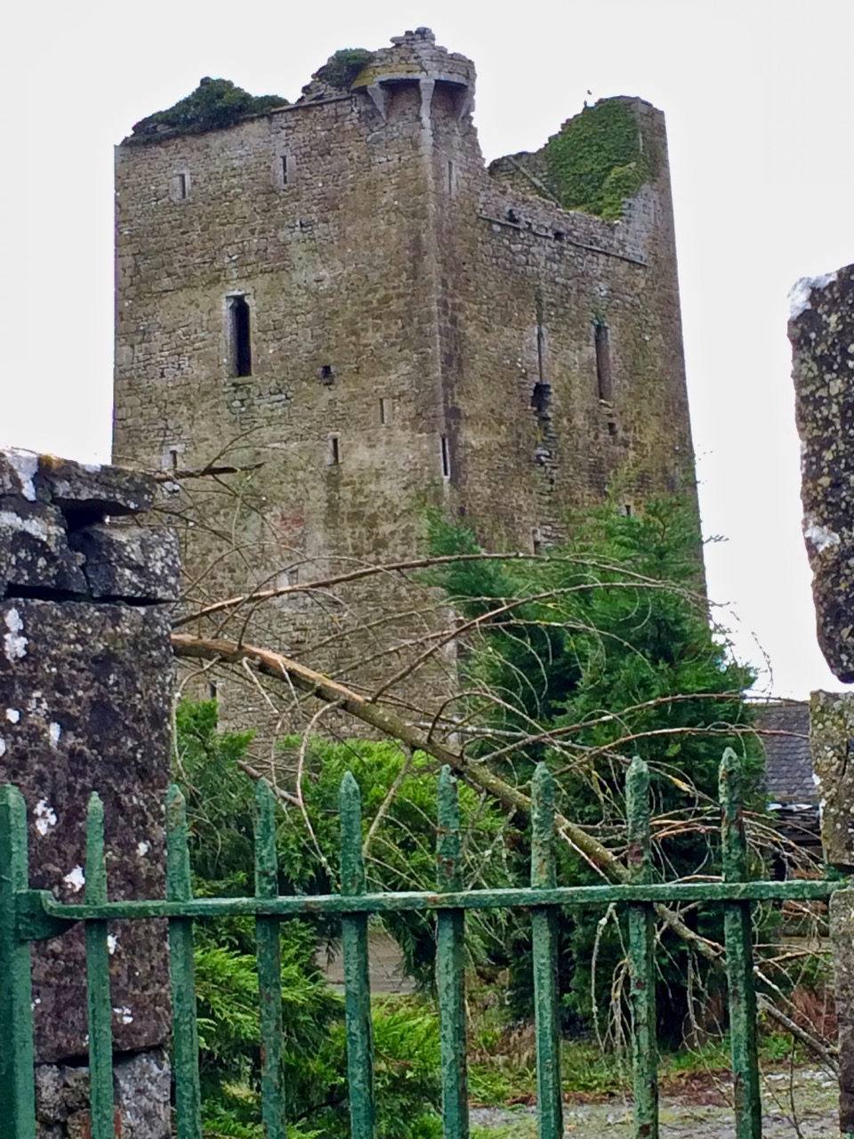 Twomileborris Castle