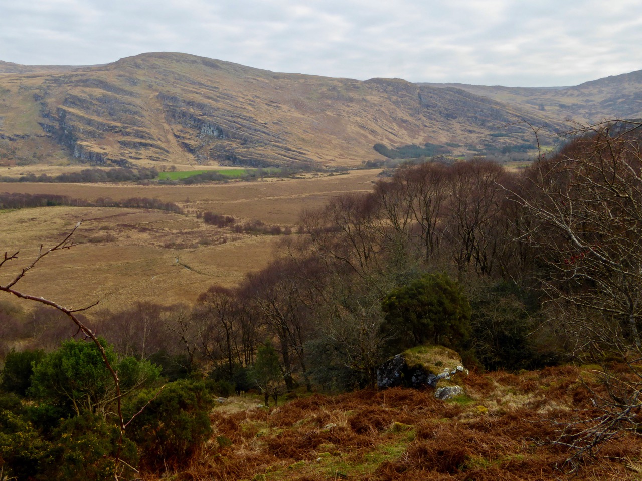 View from near grave