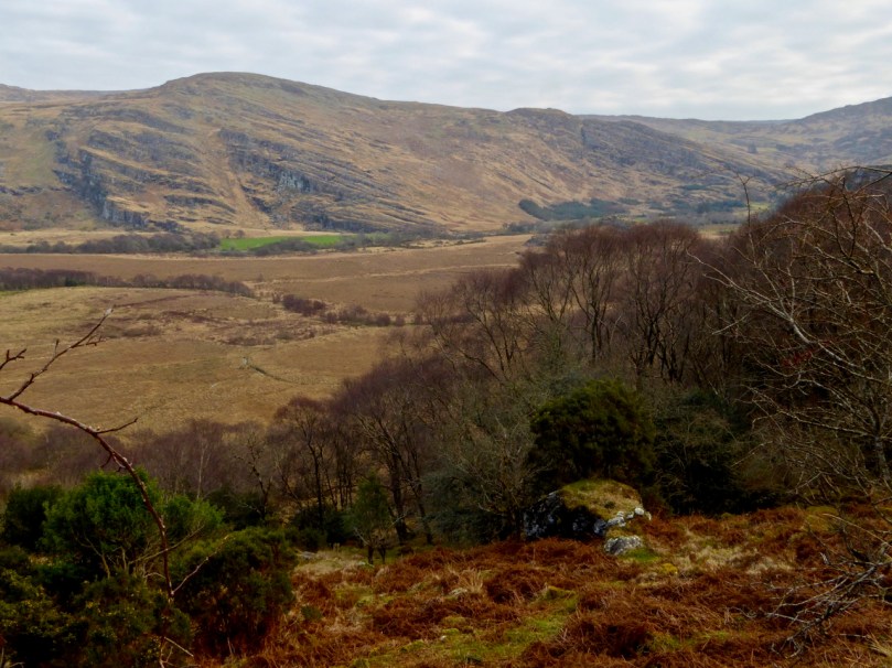 View from near grave