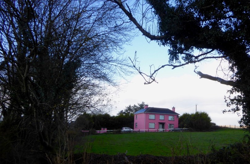 Pink, North of Skibb