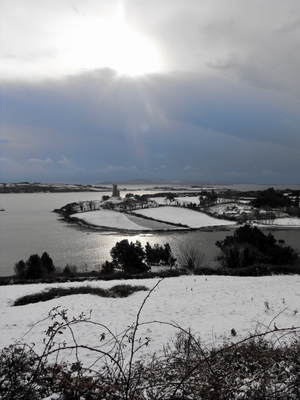 Cove in the snow 2010