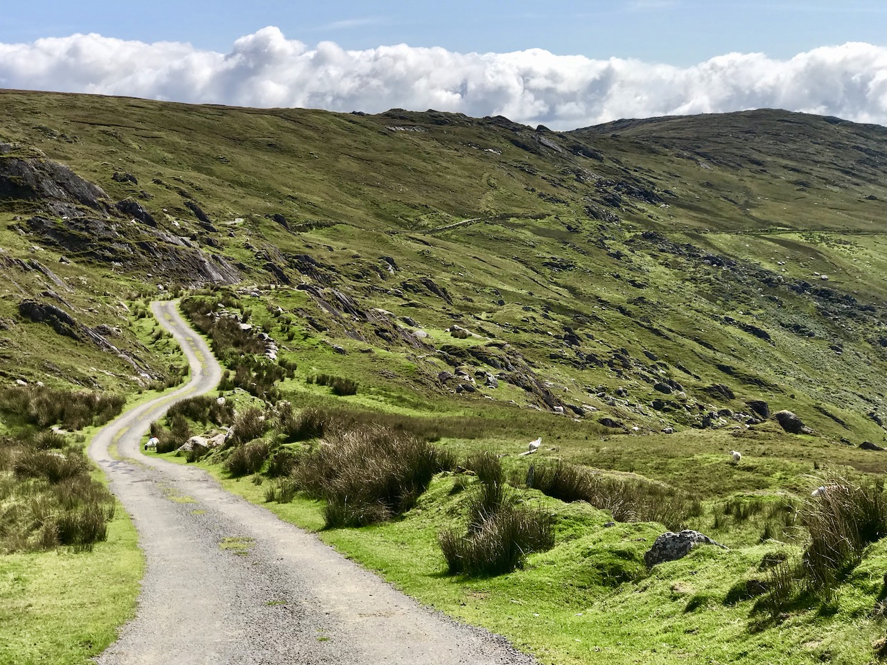 Small Rocks Road Small Roads | Roaringwater Journal