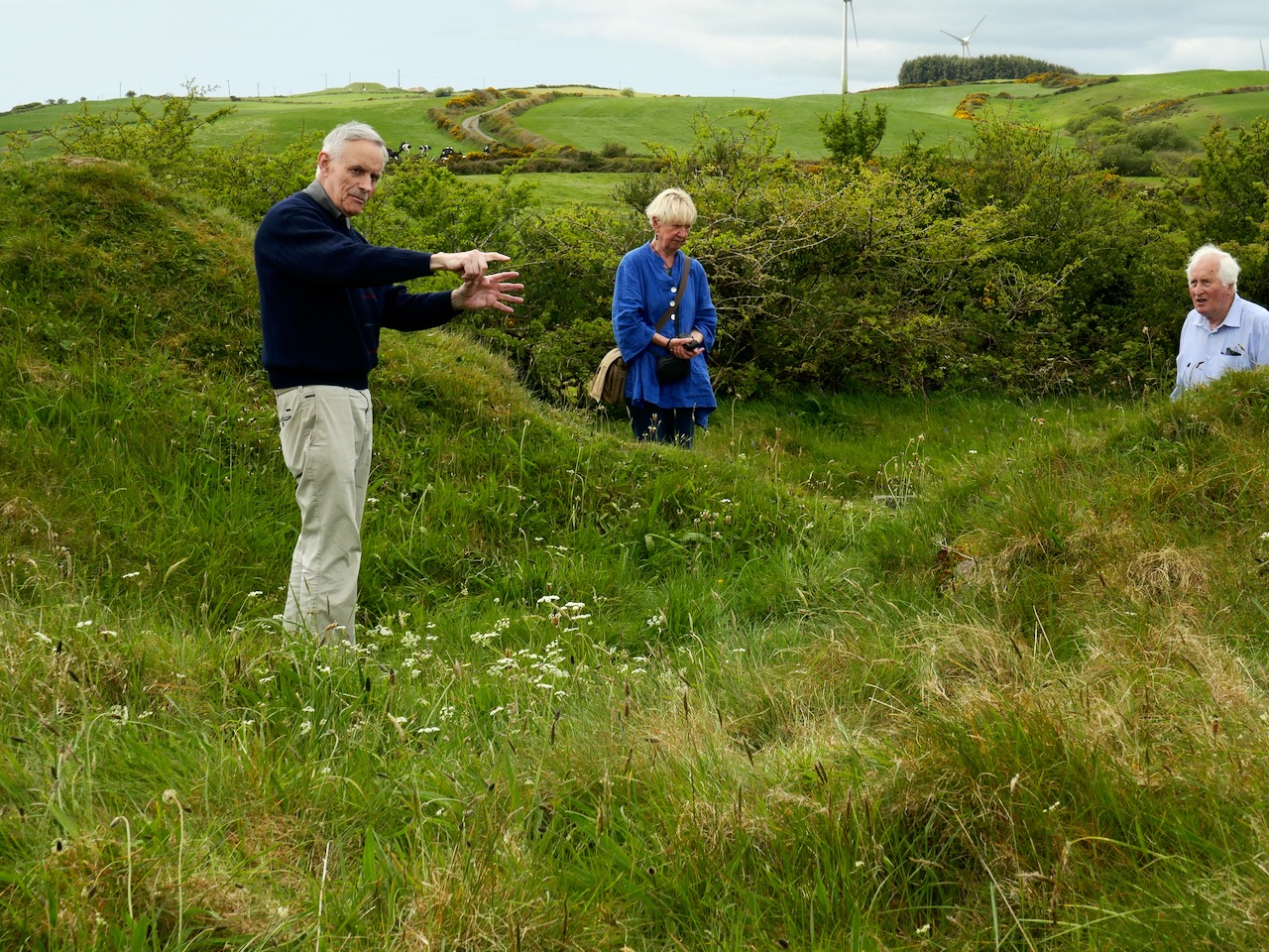 The Antiquities of Bealad | Roaringwater Journal