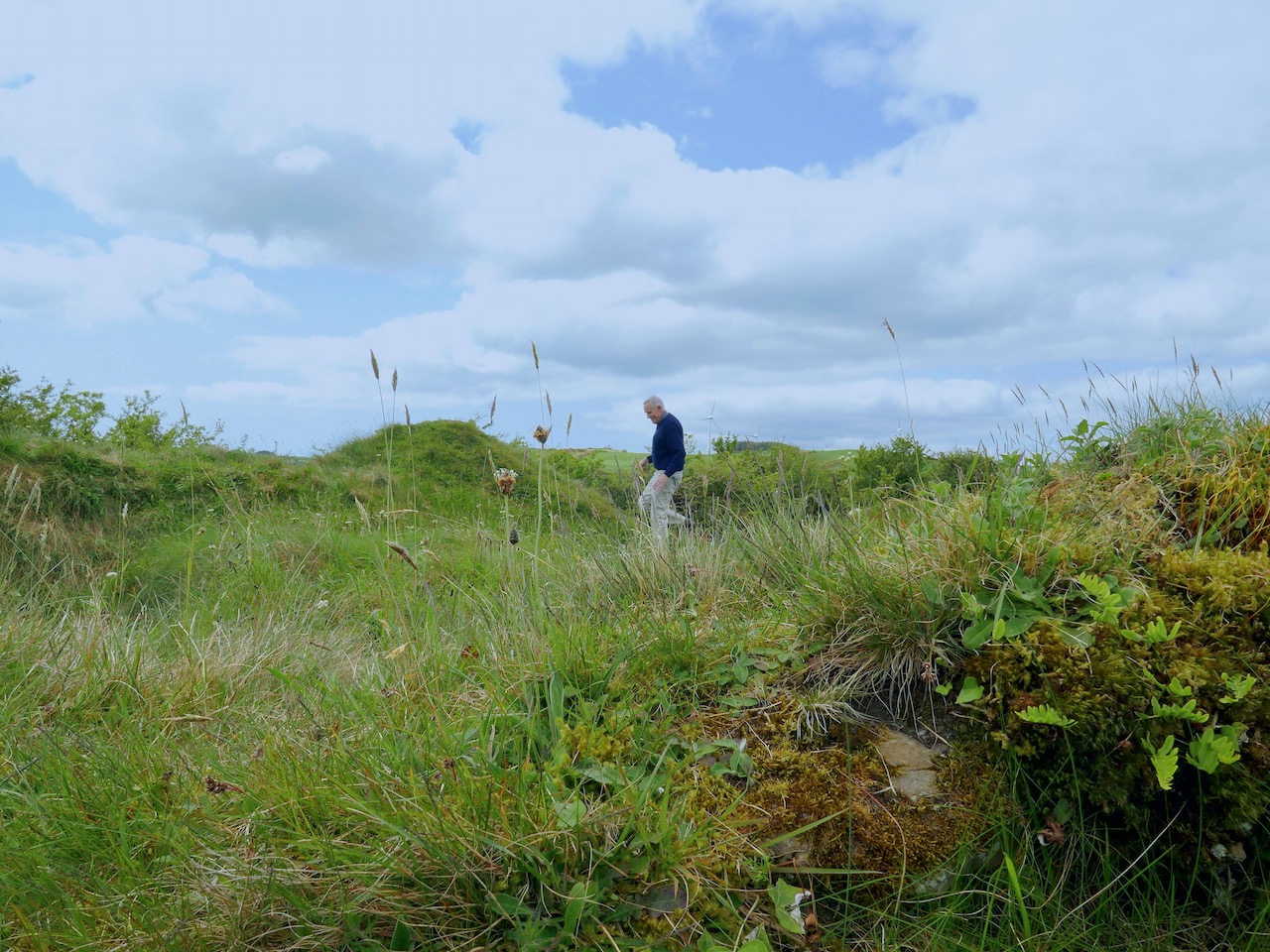 The Anglo-Normans in West Cork: Hiding in Plain Sight, Part 1 ...